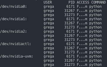 The output of the ```fuser``` command.